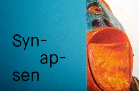 Syn-ap-sen-1